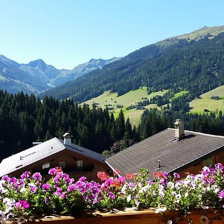 Hanslerfeld Alpbach Luaran gambar