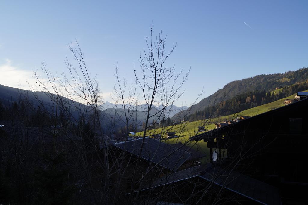 Hanslerfeld Alpbach Bilik gambar