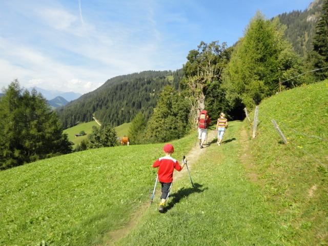 Hanslerfeld Alpbach Bilik gambar