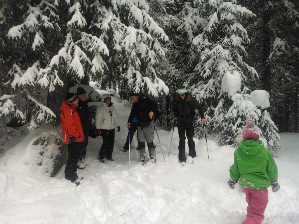 Hanslerfeld Alpbach Luaran gambar