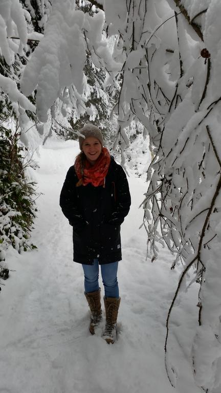 Hanslerfeld Alpbach Luaran gambar