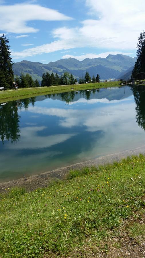 Hanslerfeld Alpbach Luaran gambar
