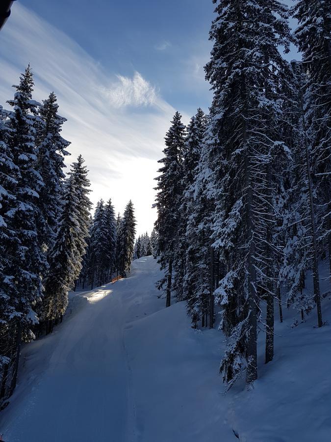 Hanslerfeld Alpbach Luaran gambar